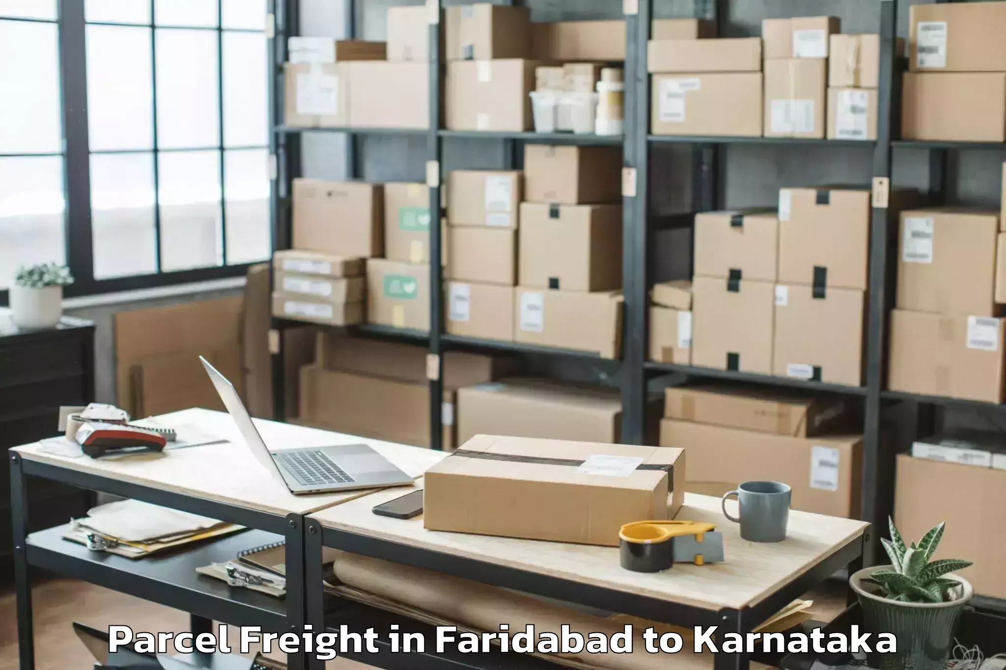 Leading Faridabad to Karnataka Janapada Vishwavidya Parcel Freight Provider